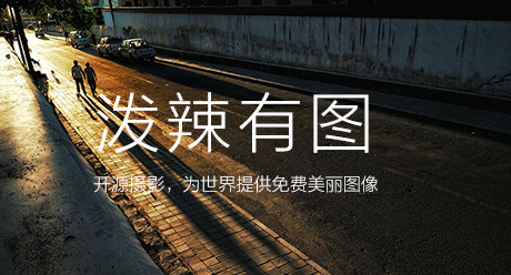 泼辣有图 – 开源摄影，为世界提供免费美丽图像。