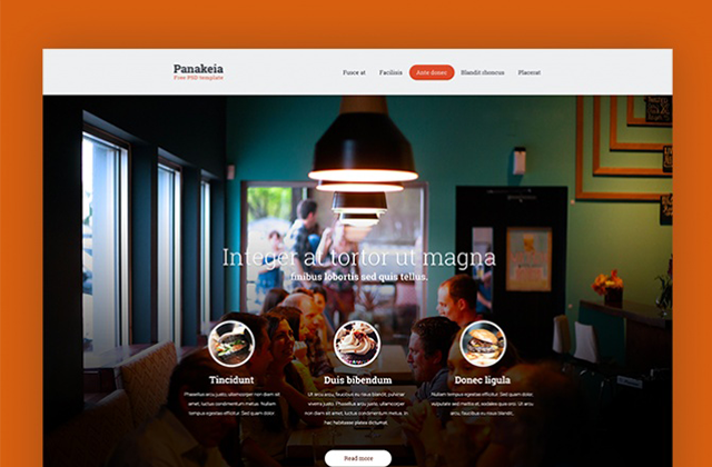 Panakeia PSD Template
