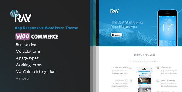 Ray 移动APP介绍响应WordPress 主题
