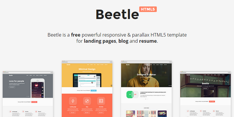 Beetle: Responsive HTML & CSS Template