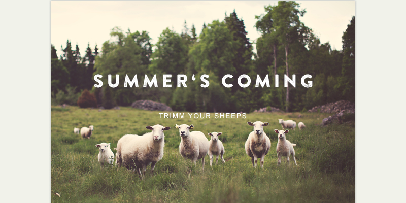 Green Village HTML Web Template