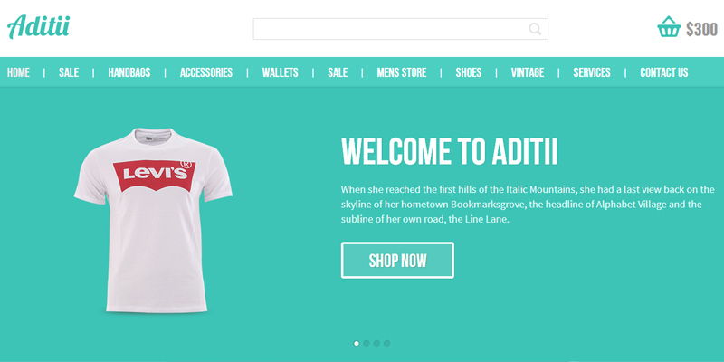 Aditii: Flat E-commerce Responsive Web Template