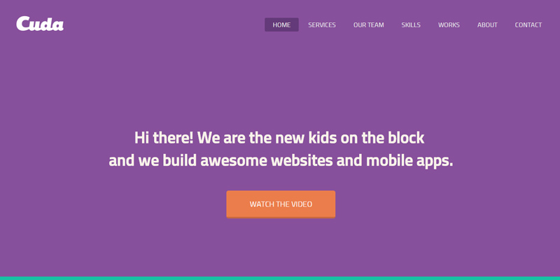 Cuda: Portfolio Flat Web Template
