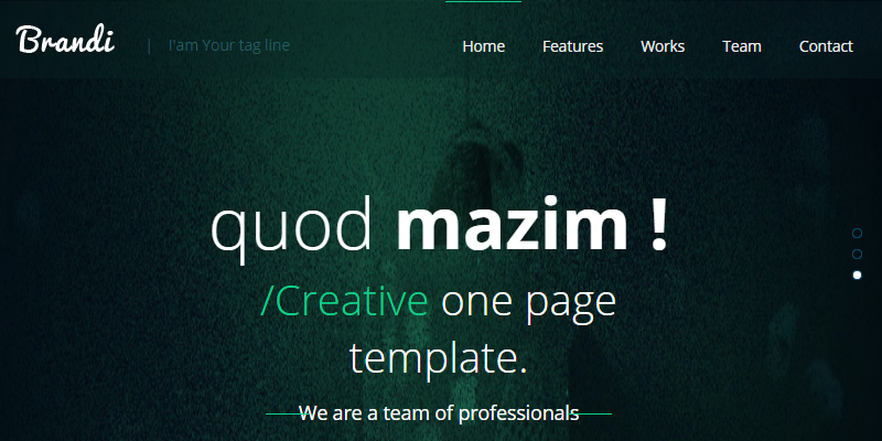 Brandi: Corporate Flat Responsive HTML Web Template