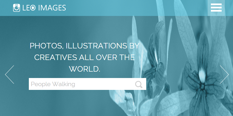 Leo Images: Responsive HTML Gallery Web Template